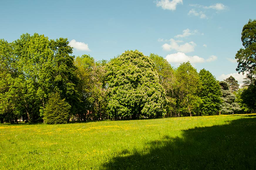 Photo: Park of Castle